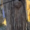 Grafsteen versteend hout 58170