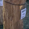 Grafsteen versteend hout 58170