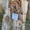 Grafsteen versteend hout 58171