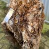 Grafsteen versteend hout 58174