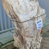 Grafsteen versteend hout 58178