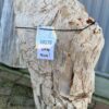 Grafsteen versteend hout 58178