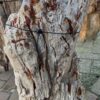 Grafsteen versteend hout 58178