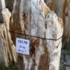 Grafsteen versteend hout 58179