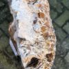 Grafsteen versteend hout 58179