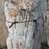 Grafsteen versteend hout 58179