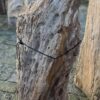 Grafsteen versteend hout 58179