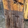 Grafsteen versteend hout 58180