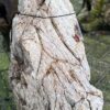 Grafsteen versteend hout 58181