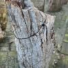 Grafsteen versteend hout 58181