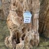 Grafsteen versteend hout 58182