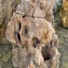 Grafsteen versteend hout 58182