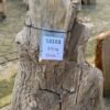 Grafsteen versteend hout 58183