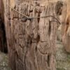 Grafsteen versteend hout 58184