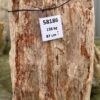 Grafsteen versteend hout 58186