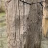 Grafsteen versteend hout 58186