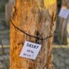 Grafsteen versteend hout 58187
