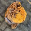 Grafsteen versteend hout 58187