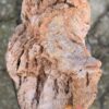 Grafsteen versteend hout 58191