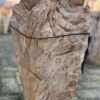 Grafsteen versteend hout 58191