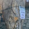 Grafsteen versteend hout 58193