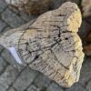 Grafsteen versteend hout 58193