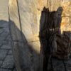 Grafsteen versteend hout 58193