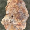 Grafsteen versteend hout 58195