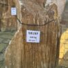 Grafsteen versteend hout 58197