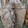 Grafsteen versteend hout 58200
