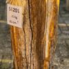 Grafsteen versteend hout 58201