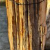 Grafsteen versteend hout 58201