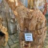 Grafsteen versteend hout 58202
