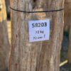 Grafsteen versteend hout 58203