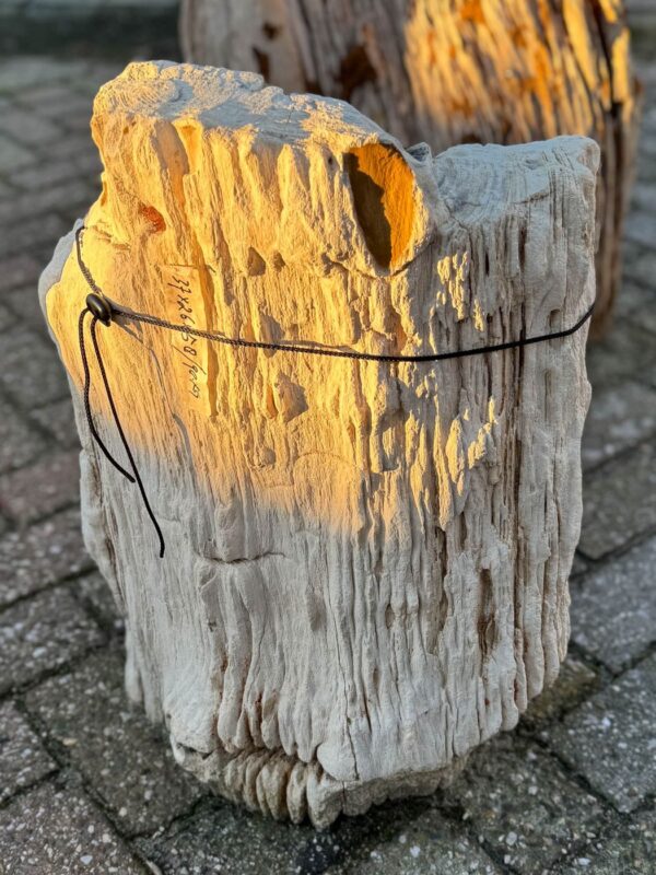 Grafsteen versteend hout 58204