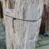 Grafsteen versteend hout 58206