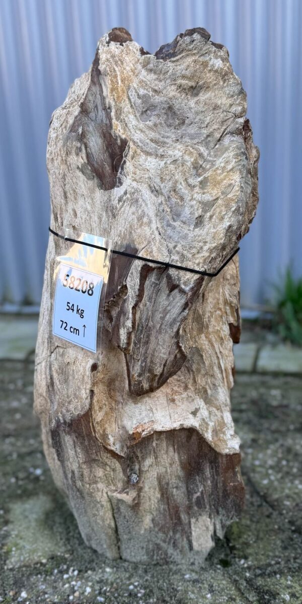 Grafsteen versteend hout 58208