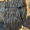 Grafsteen versteend hout 58209