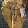 Grafsteen versteend hout 58209