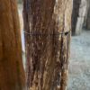 Grafsteen versteend hout 58217