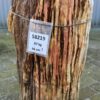 Grafsteen versteend hout 58219