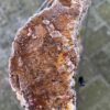 Grafsteen versteend hout 58219