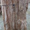 Grafsteen versteend hout 58219