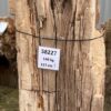 Grafsteen versteend hout 58227