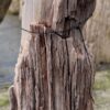 Grafsteen versteend hout 58227