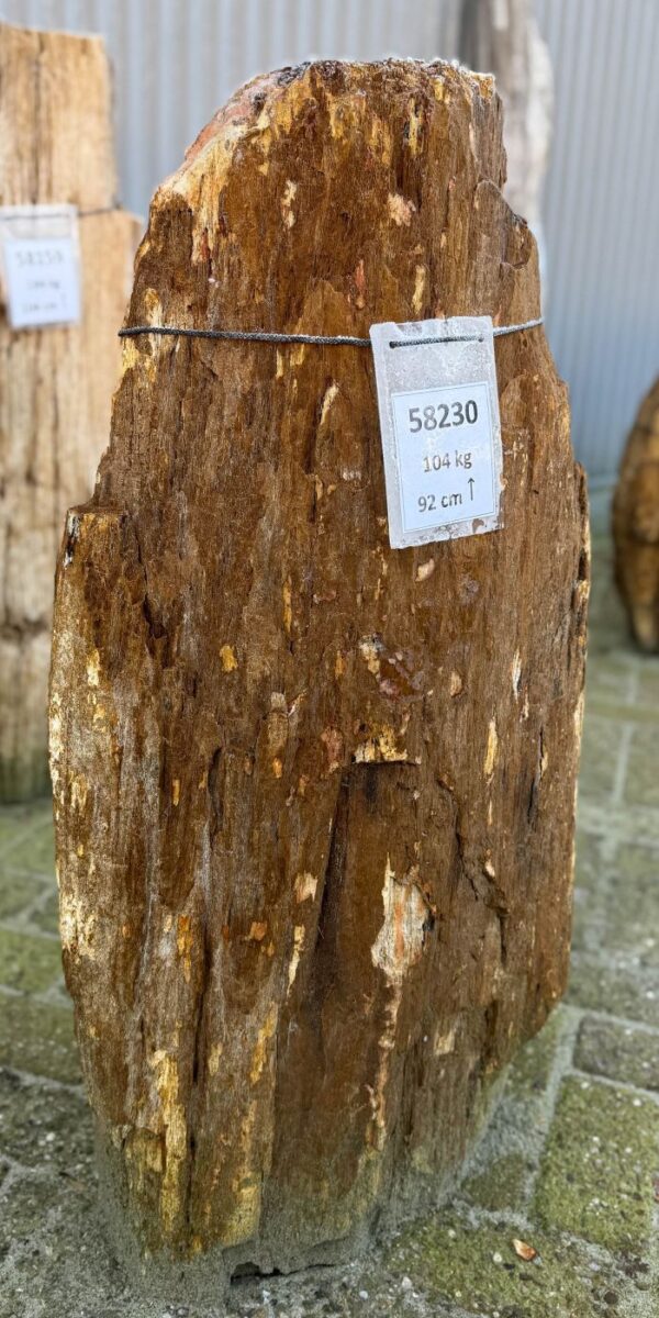 Grafsteen versteend hout 58230