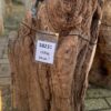 Grafsteen versteend hout 58231