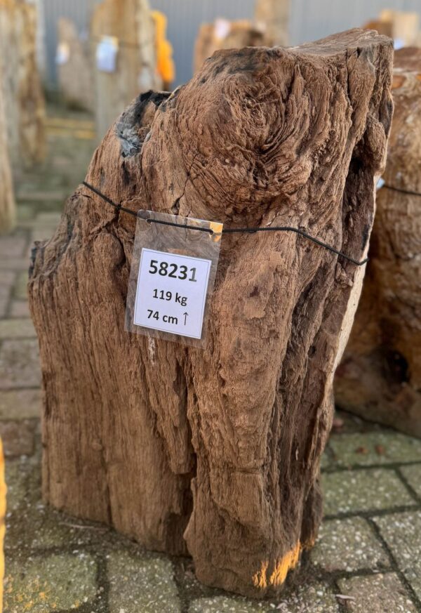 Grafsteen versteend hout 58231