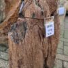 Grafsteen versteend hout 58231