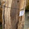 Grafsteen versteend hout 58233